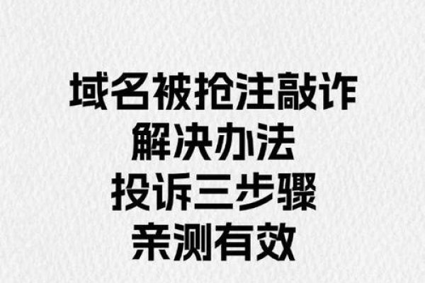 购买域名时面临的挑战与应对策略-方知甜