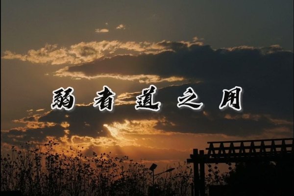 织梦者的含义，探索梦境的创造者-方知甜