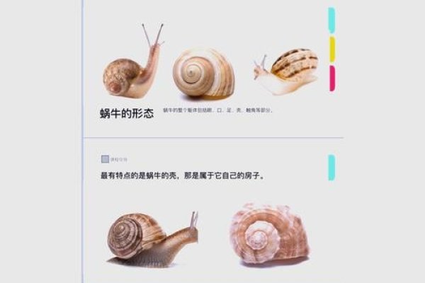 蜗牛IP攻击器，入侵与防御的新挑战-方知甜