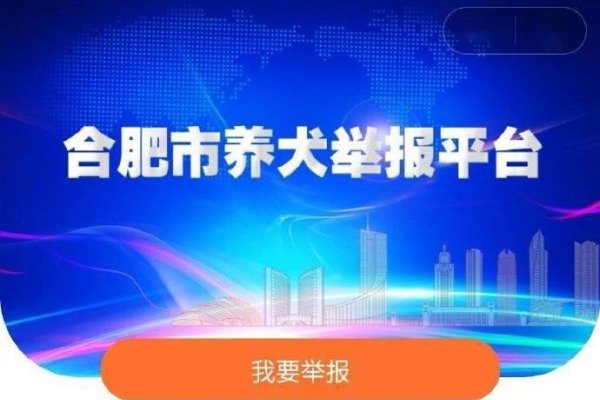 惠州电子模板与随手拍举报平台介绍-方知甜