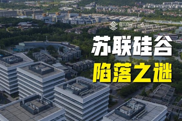 硅谷服务器，科技的心脏与未来的枢纽-方知甜