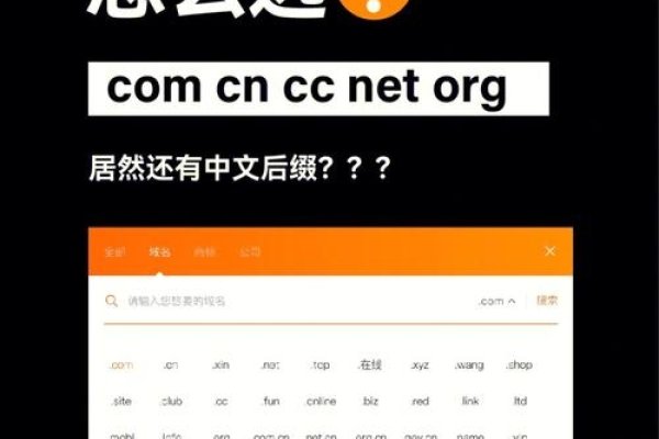 CC开头的网址域名，探索与未来展望-方知甜