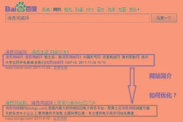dz论坛SEO设置详解，从自定义页面到优化策略-方知甜
