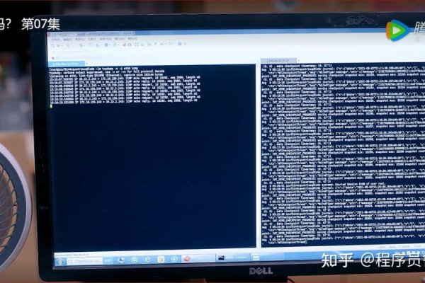 赞丽生活服务器遭受攻击，挑战与应对-方知甜