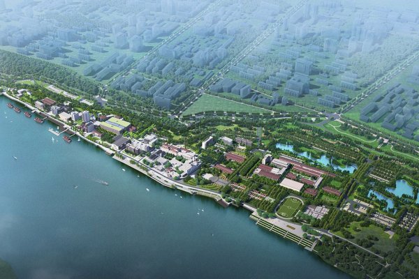 荆州网站建设所需时间详解-方知甜