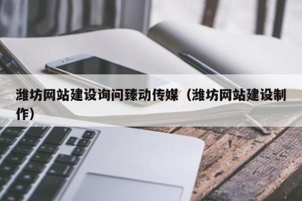 潍坊网站建设推荐臻动传媒-方知甜