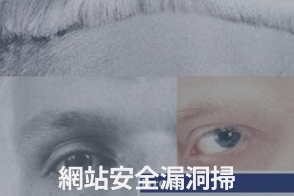 Web安全检测工具介绍，常用扫描器与在线监测技术探讨-方知甜