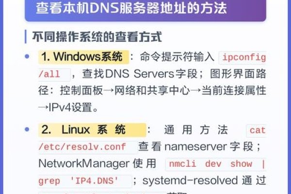 DNS服务指南-方知甜
