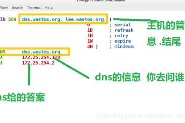 DNS解析缓存解析，网络中的关键概念-方知甜