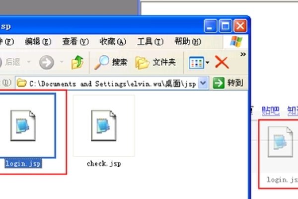 JSP文件格式详解及打开方法指南，从浏览器到专业工具全解析-方知甜