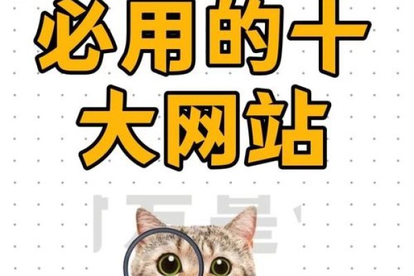 MixKit免费高清视频素材手机下载指南-方知甜