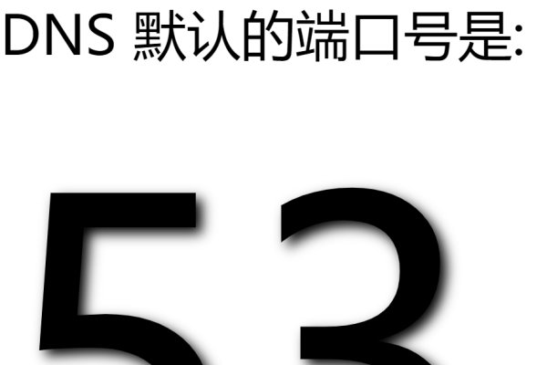 DNS域名服务器使用的端口详解-方知甜