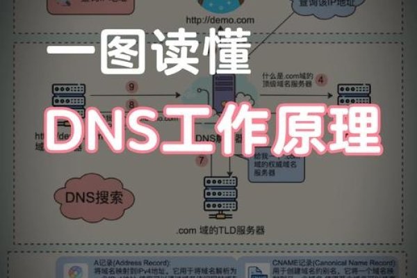 com域名与cn域名的区别及选择. 程序员如何用技术为爱情增色？中文域名趋势及应用介绍-方知甜