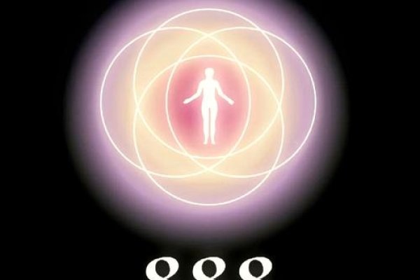 SEO8887，探索数字营销的奥秘与策略-方知甜