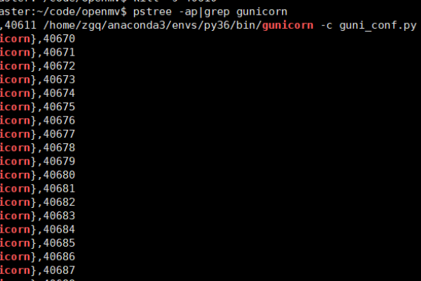 Linux进程查看与端口占用查询指南-方知甜