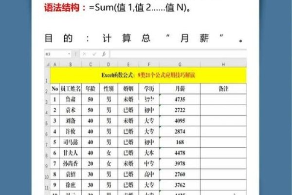 Excel随机函数公式详解与编程技巧-方知甜