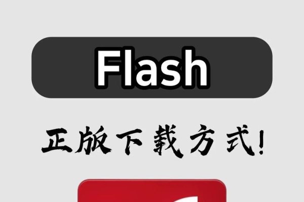 Flash插件安装包，下载与安装指南-方知甜