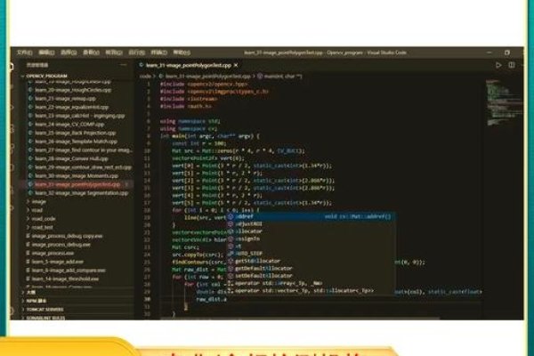 Java代码审计，保障软件安全的关键环节-方知甜