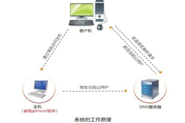 DDNS服务器搭建教程，一步步实现动态域名解析-方知甜
