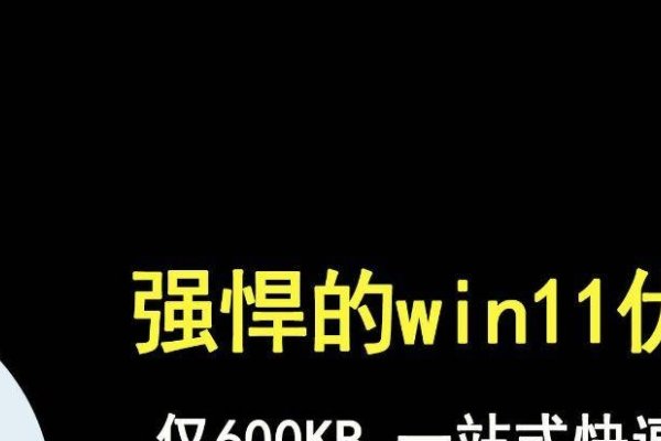 Win11优化软件，提升系统性能与用户体验的关键工具-方知甜