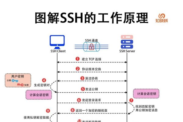 DHCP的工作过程详解-方知甜