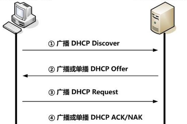 DHCP服务器IP分配流程详解，Offer报文发送与拓扑展示-方知甜