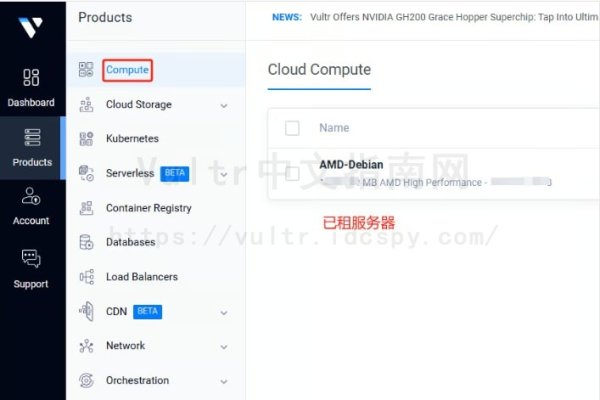 Vultr云服务提供商的配置与使用指南-方知甜