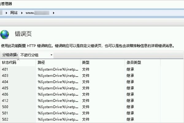 IIS启动故障解析，服务激活失败与错误代码处理-方知甜