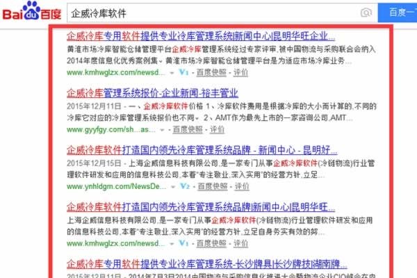 沈阳专业网站SEO策略与实践-方知甜