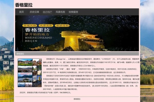 云南网站设计企业,创新与发展的前沿-方知甜