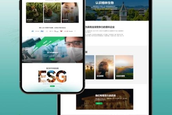 知名网站制作团队与UI设计公司的选择指南，专业定制网站建设服务-方知甜