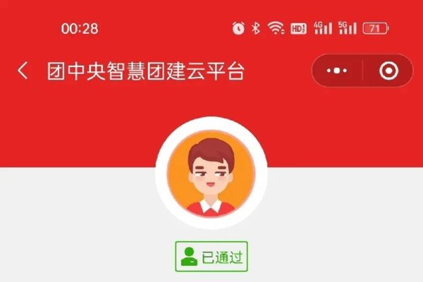 在线查询团员身份的便捷网站-方知甜