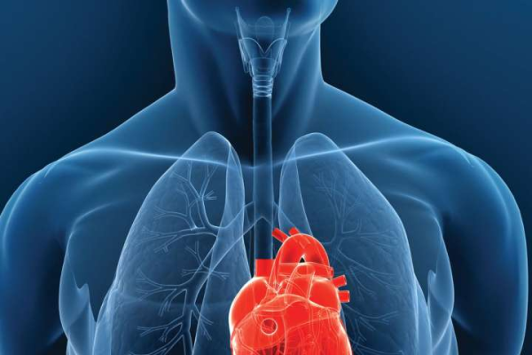 注册公司所需登录的网址名称及其重要性-方知甜