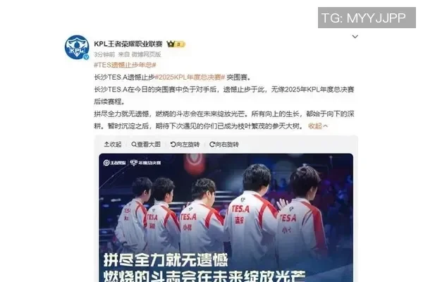 主页网址导航哪个更好,深度探讨与比较-方知甜