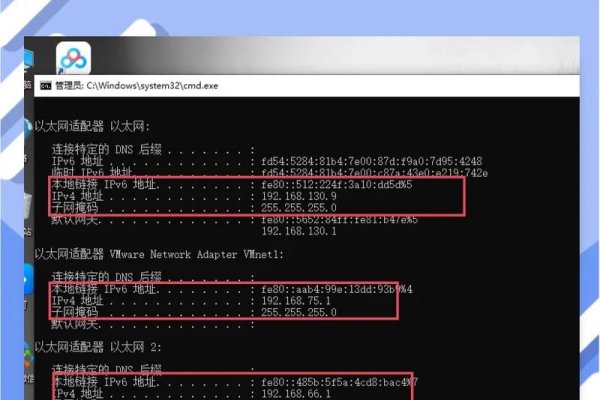 专用IP地址查询法-方知甜