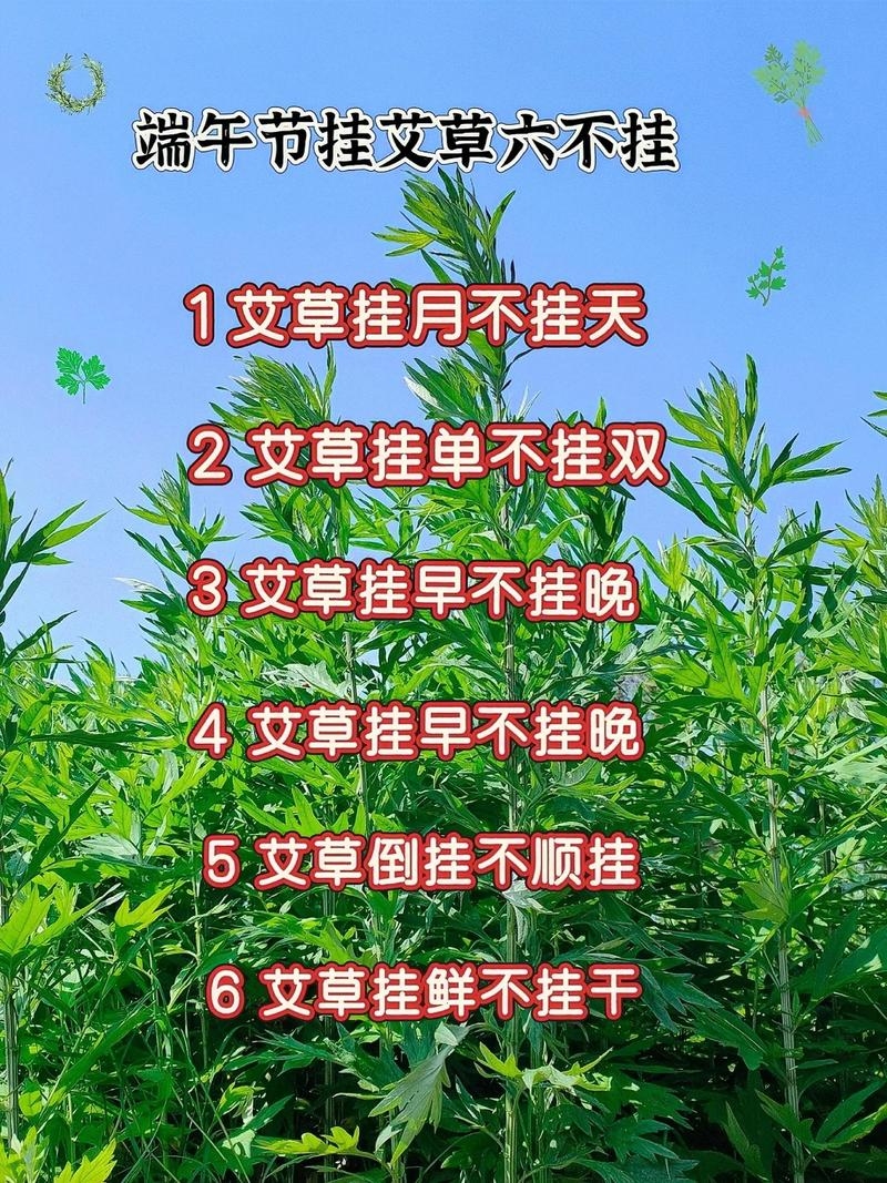 艾草挂门口,风水十大禁忌与注意事项插图 艾草挂门口,风水十大禁忌与注意事项插图