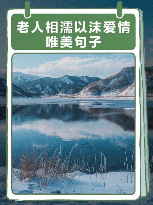 爱，不因年龄而止步 —— 探索中老年免费征婚的温暖世界插图