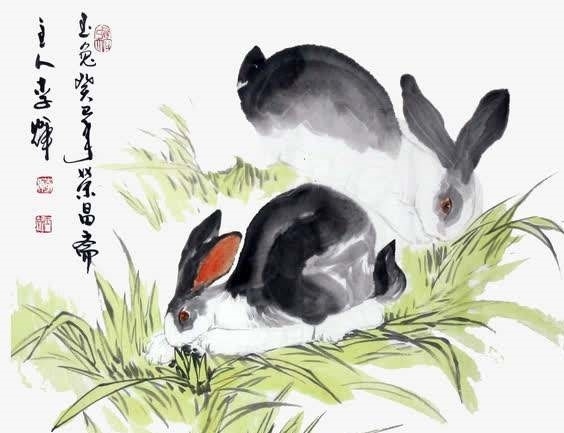 暗香浮动指的是兔生肖插图