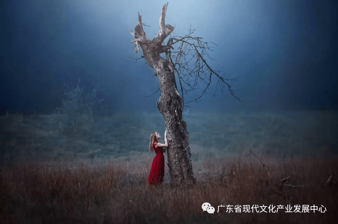 安徽守望者，在这片天地里寻找温暖与力量插图