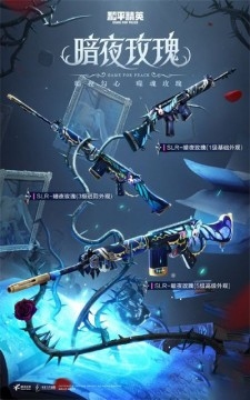 暗夜玫瑰,神秘与浪漫的完美融合插图 暗夜玫瑰,神秘与浪漫的完美融合插图