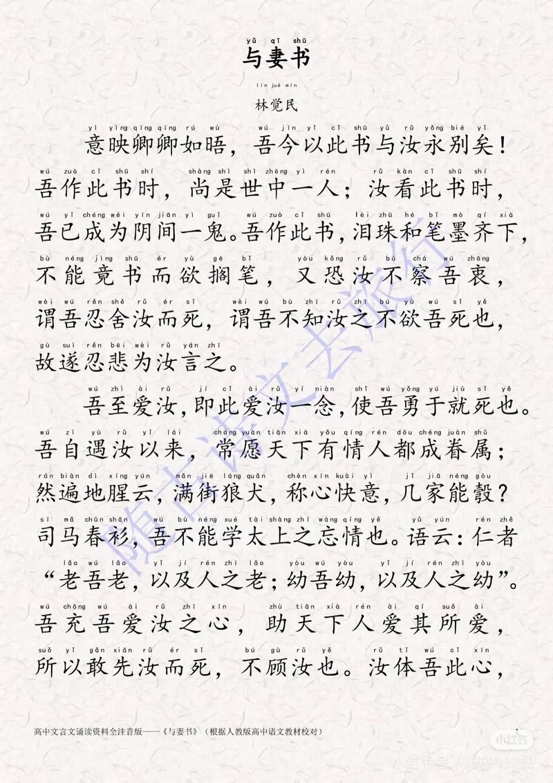 白话文，从古代口语到现代书面语插图