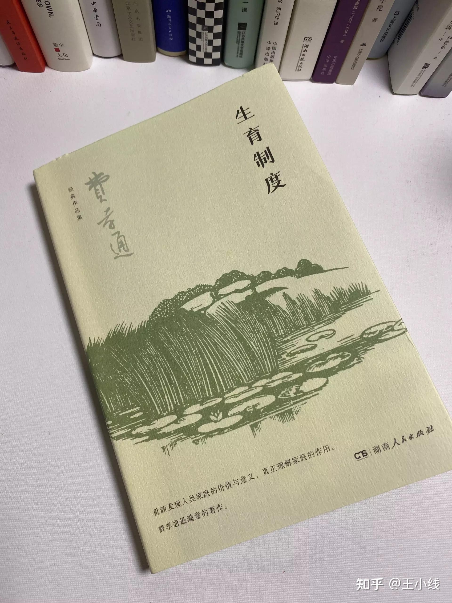 本命年结婚生子，传统与科学的碰撞解析插图
