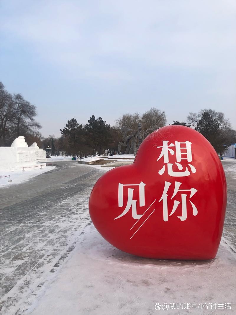 北票寻爱，在寒冬里绽放的青春新芽插图