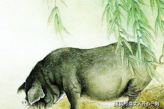 巴山夜雨暗指生肖猪插图