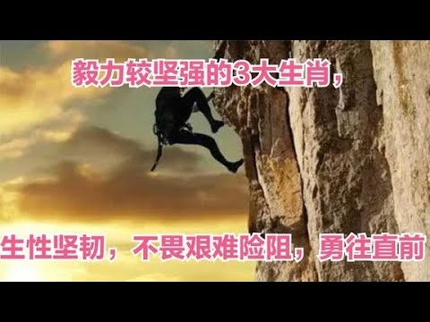 百折不挠的坚韧——揭秘此生肖的非凡毅力插图