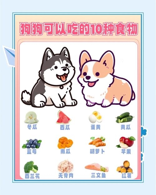 帮狗吃食,属相鼠最旺狗狗!插图 帮狗吃食,属相鼠最旺狗狗!插图