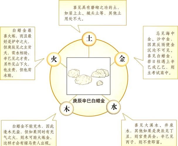 白蜡金命解析插图