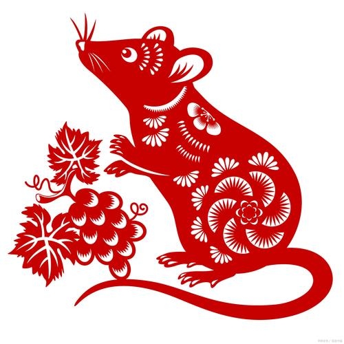 本小利微，精明生肖鼠插图