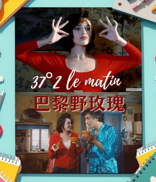 巴黎野玫瑰，爱与自由的炽热绽放插图