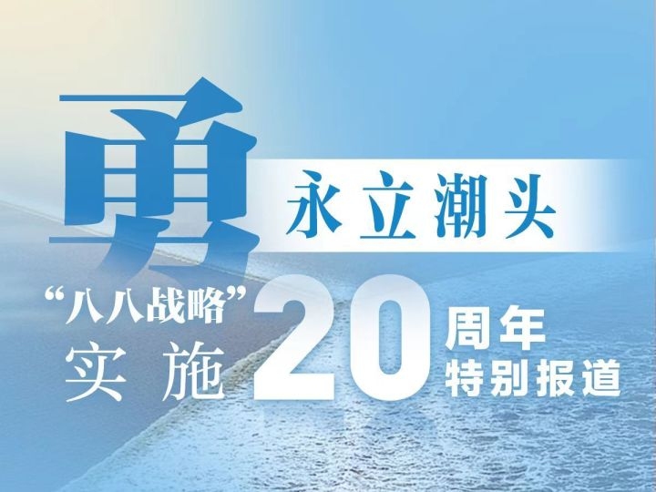 八字方针，引领企业稳健前行的航标插图